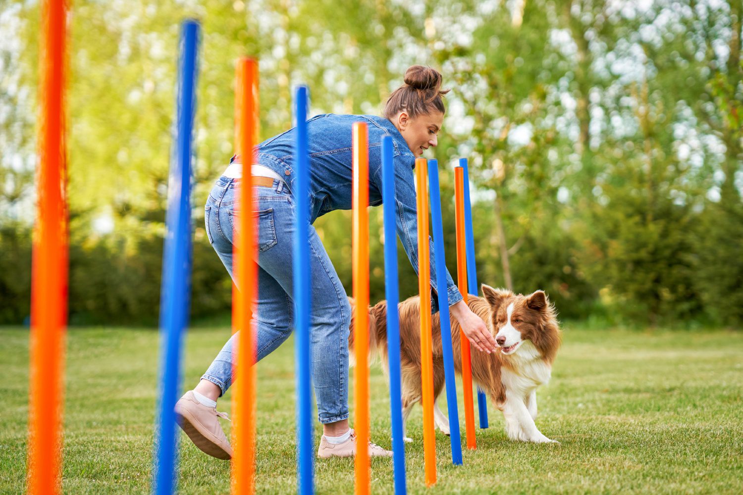 Woman and dog in agility training