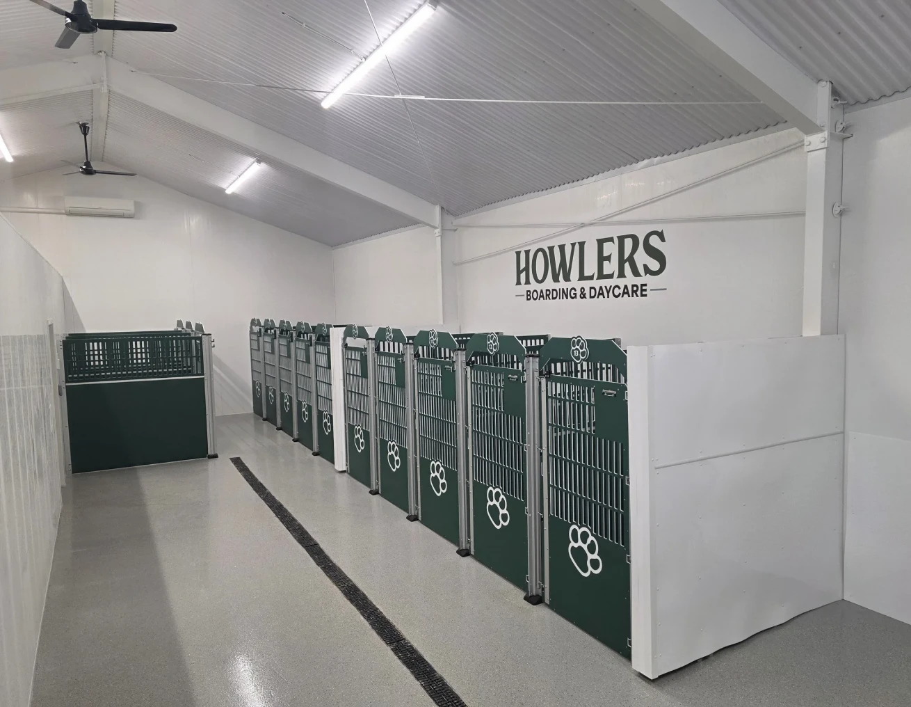 Indoor dog daycare with lined kennels